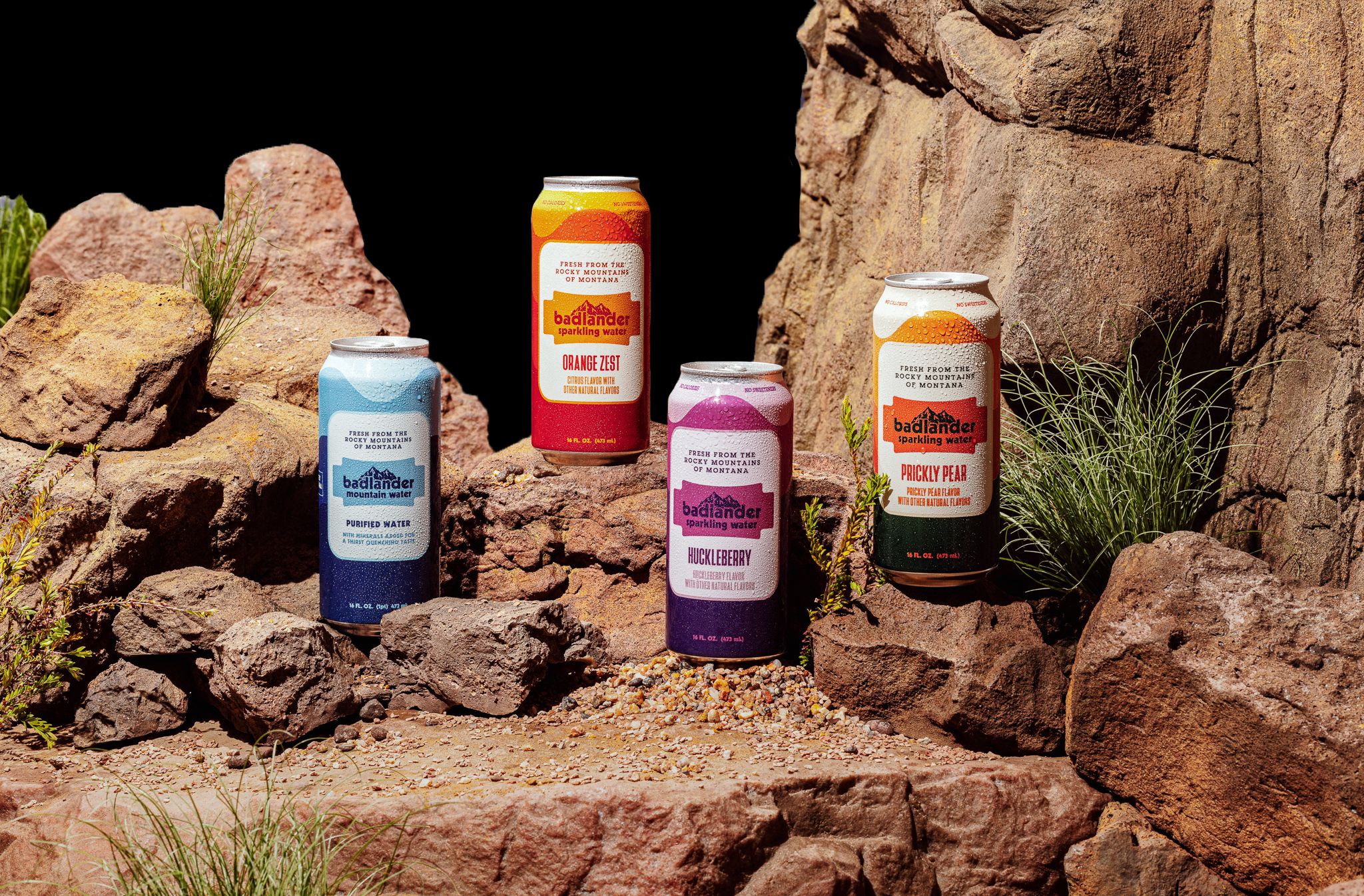 Badlander canned water on a rock.